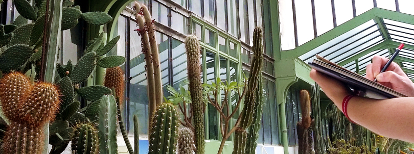 Quartier Jardin des plantes